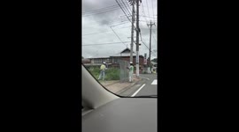 Diligent Japanese workers cut grass with board to shield fragments from pavement