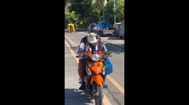 Pet dog rocks sunglasses as he cruises on scooter with owner