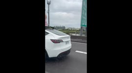 Tesla with Buddha statue secured to its roof seen driving along road