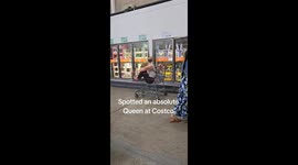 Parents ride in grocery cart while kids shop in viral Costco video