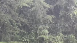 Intense rain and strong winds sweep through Gray, Kentucky