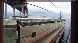 Cop rescues pet cat stranded below sea walkway in Florida