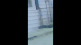 This one was recorded about a month ago from my living room I had just got done working and was looking at my monitor at the beings in my windows and in my kitchen window there was a being and right outside under the right black shutter a being formed rig