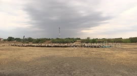 Serbia: Vojvodina hit by severe drought