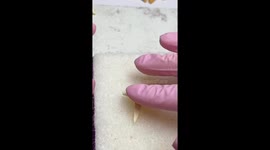 Creative food lover makes incredibly realistic-looking tiny croissants by hand
