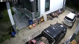 Residents shocked as huge elephant wanders onto their driveway