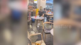 Cat mistaken for hat as it lounges on owner’s head