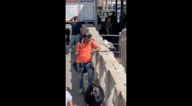 Man chats with seagull in Venice, TikTok video soars to 5 million views