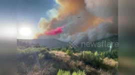 US: Deer Creek Fire Burns 4000 Acres Near La Sal, Utah As Evacuations Urged