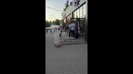 Dog barks along to saxophone in musical moment in Kryvyi Rih, Ukraine