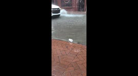 Cockroach surfs Bourbon Street flood in styrofoam cup, stuns passersby