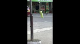 Elderly woman lifts giant zucchini in Fujian Province, China