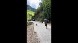 Dog hilariously flees after goat charges in Zhejiang, China