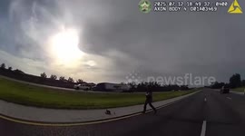 Deputies Rescue Mother Duck and 20 Ducklings on I-75