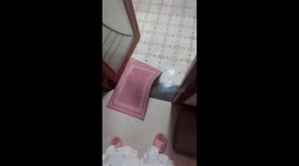 Playful cat tries to scare owner in Hebei Province, China