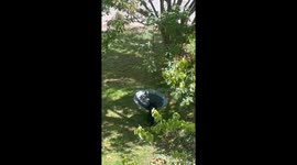 Mama Takes the Swing