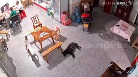 Loose tyre of runaway truck crashes into home in China