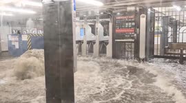 Flash floods shut down New York subway stations after heavy rain