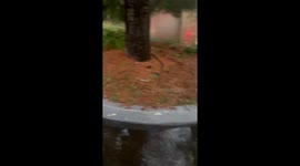 Torrential rain floods streets in Kenilworth, New Jersey