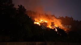 Syria: Syria Latakia Wildfire July 6