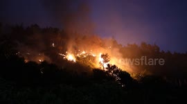 Syria: Syria Latakia Wildfire July 6