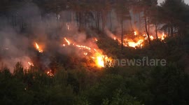 Syria: Syria Latakia Wildfire July 6