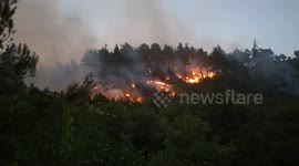 Syria: Syria Latakia Wildfire July 6