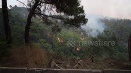 Syria: Syria Latakia Wildfire July 6