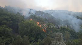 Syria: Syria Latakia Wildfire July 6