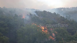 Syria: Syria Latakia Wildfire July 6