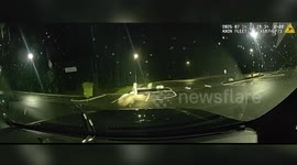 Brunswick Police Safely Recover Escaped Emu From Hospital Lot