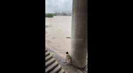 Brave bystander reaches into fast-flowing river to save drowning dog