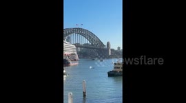 Humpback Whale Spotted In Sydney Harbour