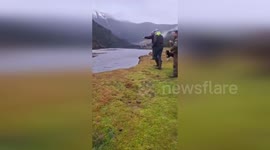 Horses rescued after becoming stranded in rising river in Chile