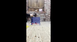 Woman plays her dog at Connect Four and loses