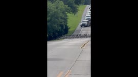 Holy Gaggle