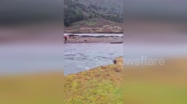Chile: Horses Trapped By Swollen River Rescued In Dramatic Operation In Chile