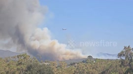 US: Dale Fire Expands Rapidly, Prompts Evacuations in California