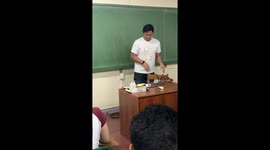 Adorable teacher's pet Dachshund steals the show in maths class