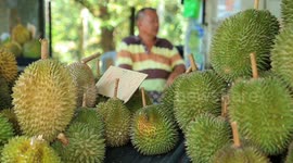 Durian season brings fortune to traders