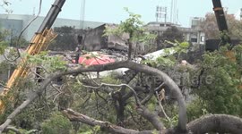 India: Flight captain switched off fuel flow to engines in Air India crash: US early assessment