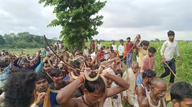 Devotees Carry Snakes During 'Nag Panchami' Fair In Bihar