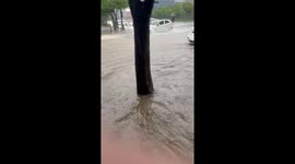 South Korea: Torrential Rain Batters Country, Damage and Casualties Reported 4