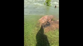 Water release at Buchanan Dam as lake nears full capacity in Texas, USA