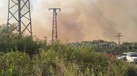 Syria: Forests and Crops Burning in Latakieh region