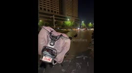 Skateboarding dog pushes and rides glowing board in Hebei, China
