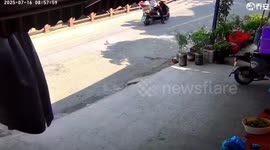Dog steals water container after it falls off scooter in Zhejiang, China