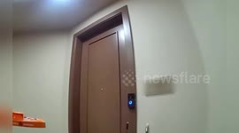 US: Police Deliver Pizza In Tempe After Arresting Delivery Driver During Traffic Stop