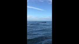 Whiles travelling to Great Barrier reef in the autumn in Australia East Coast