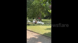 'Swan king of Hyde Park' - topless man hugs birds in London park